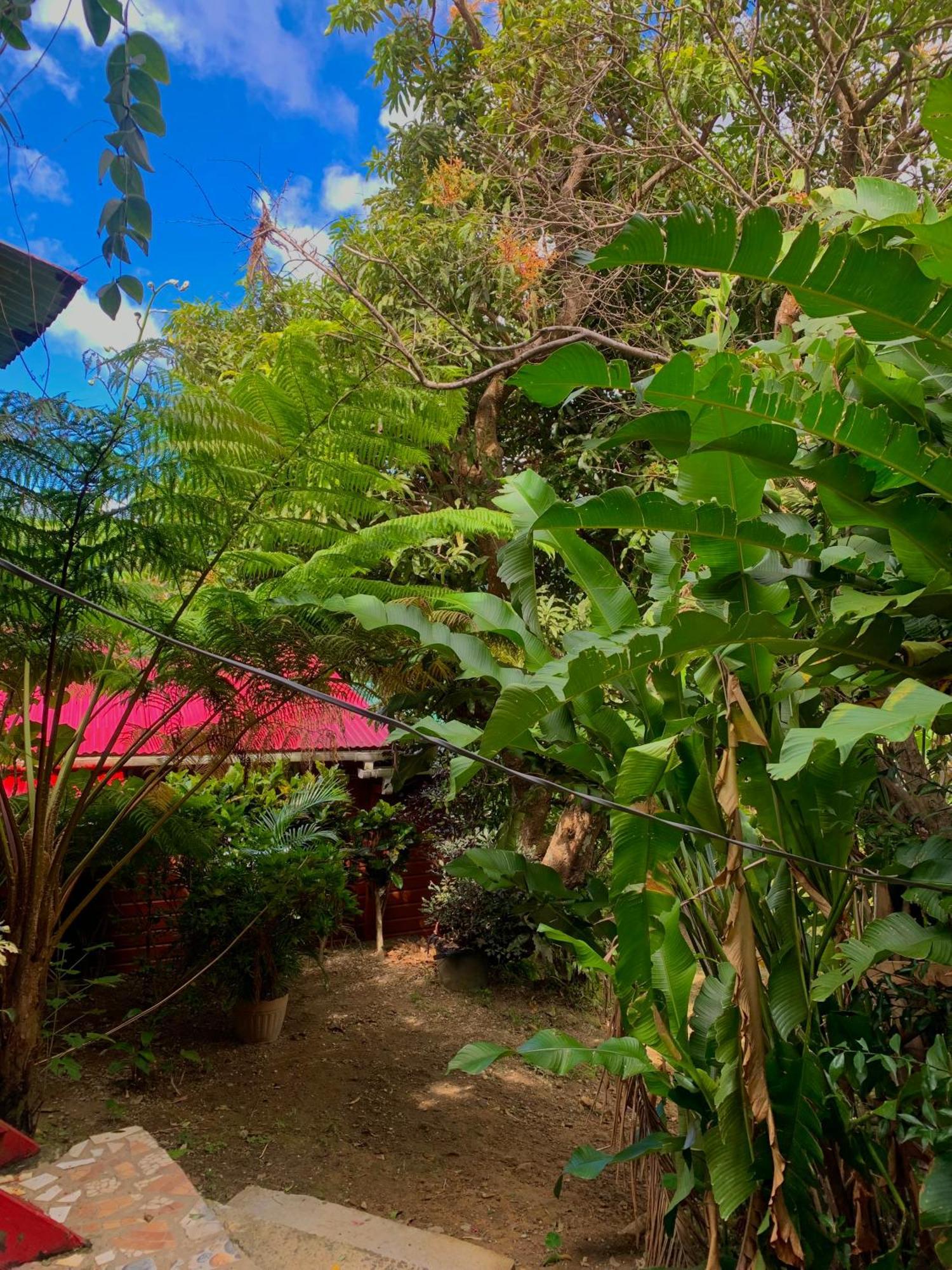 Le Petit Paradis Roseau Exterior foto